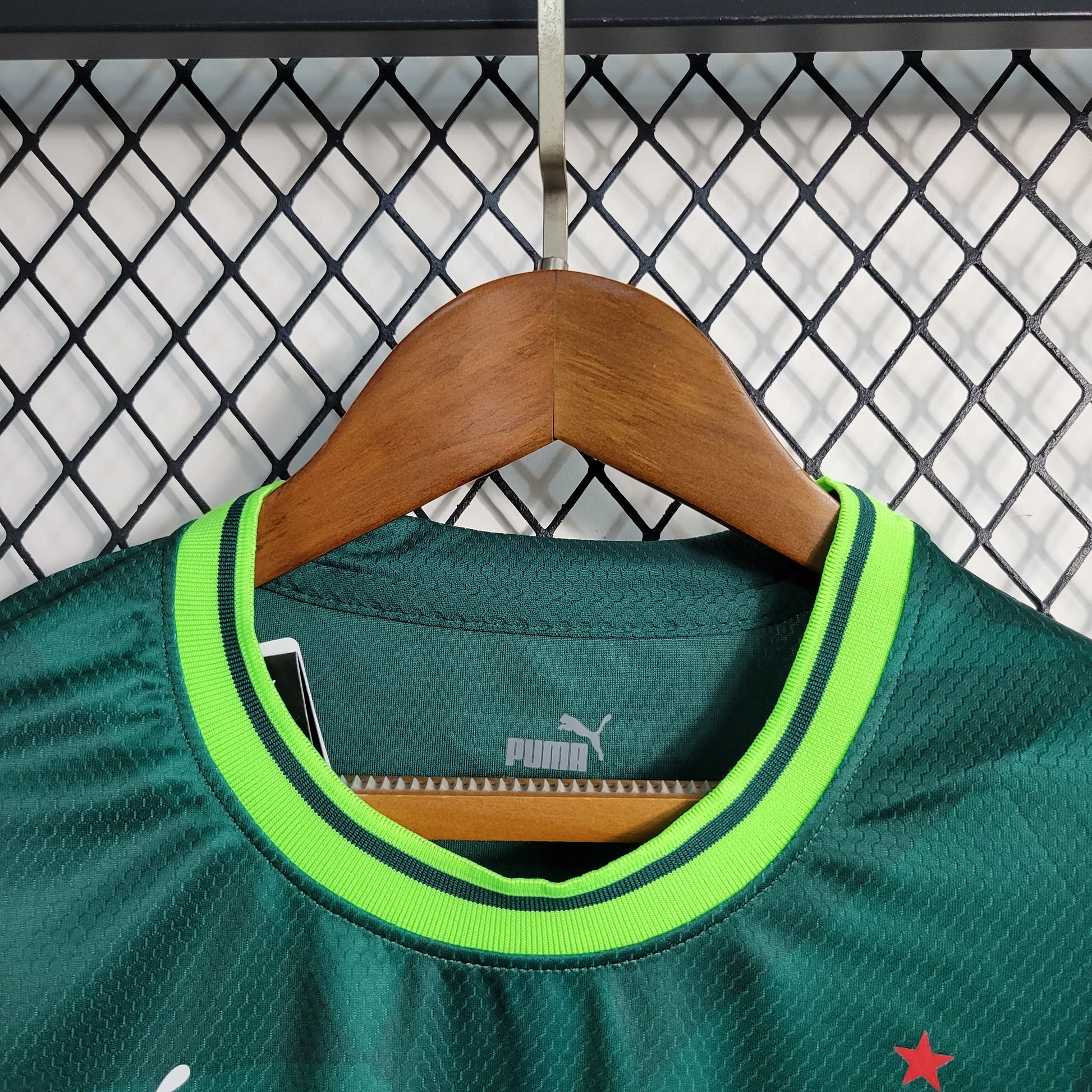 23-24 Palmeiras home Woman S-XXL（Ladies' Fan Version) | 衬衫 | Betty ali Chinese suppliers