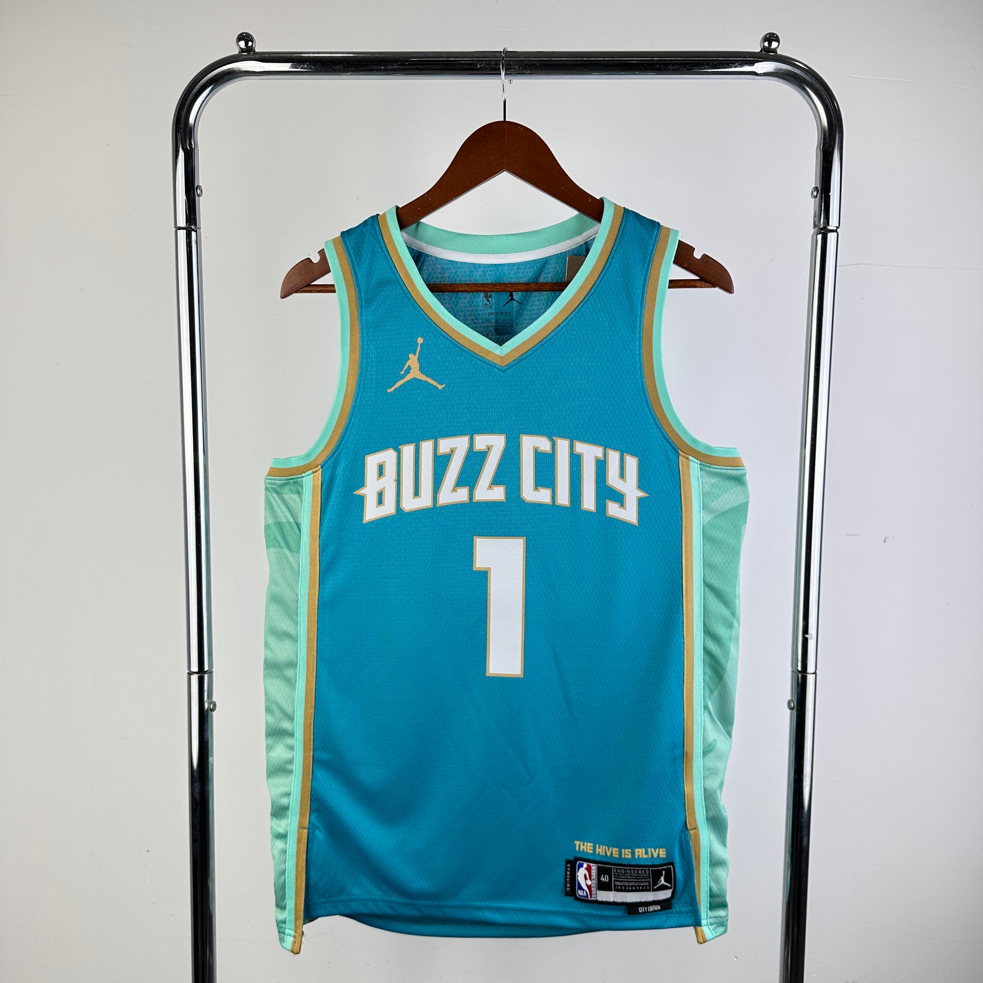 24 season Hornet City Version No. 1 Ball | NBA | NBA | Betty ali Chinese suppliers