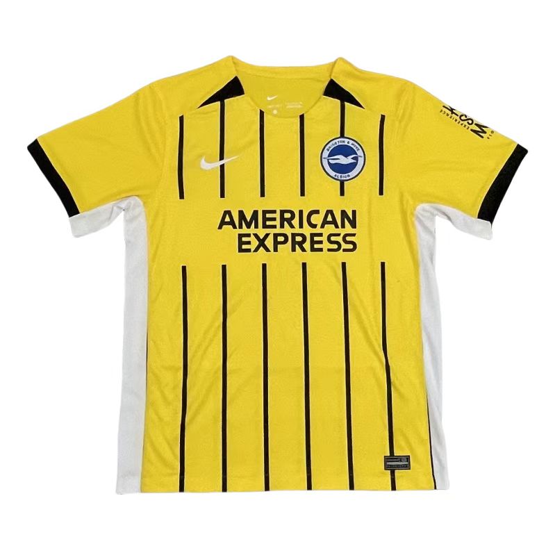 24/25 Brighton away training shirt