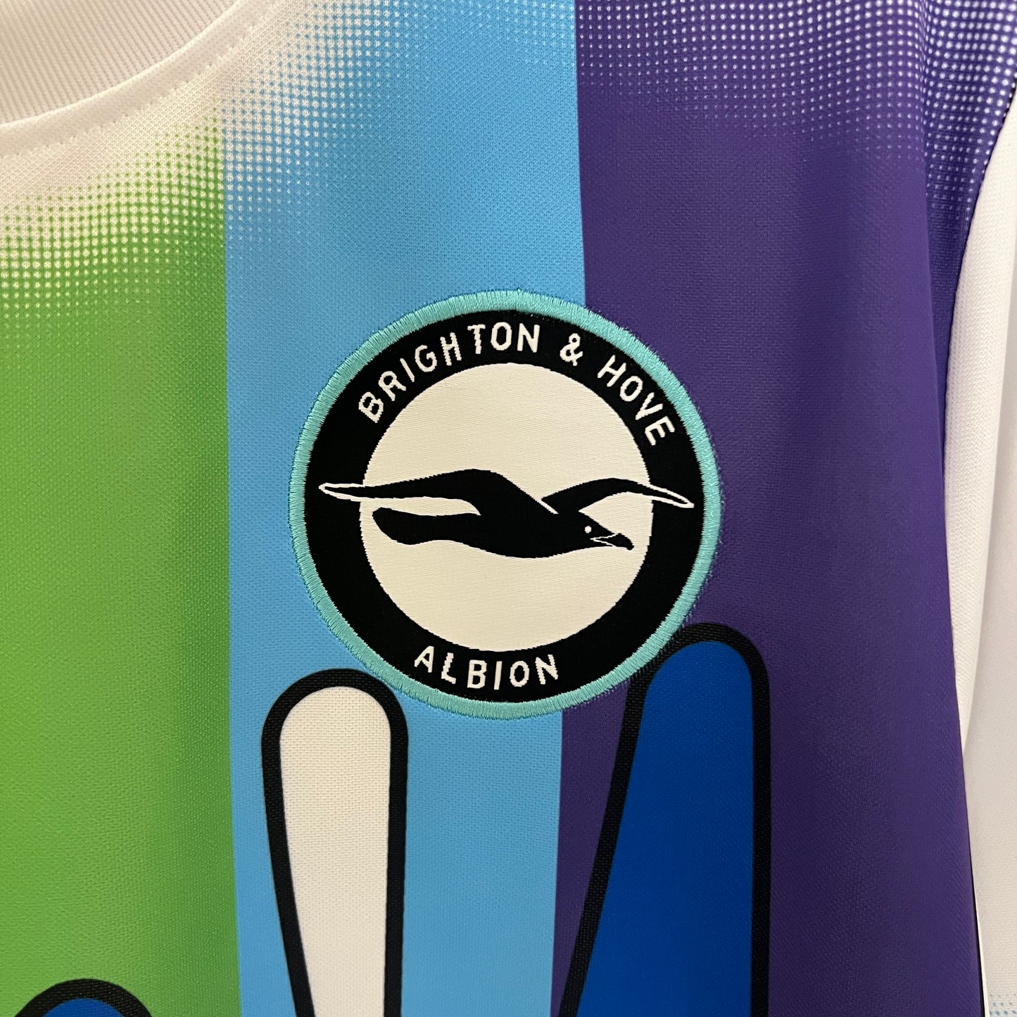 24/25 Brighton Training Wear S-4XL(fan version)