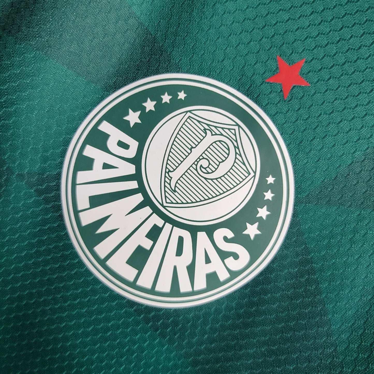 23-24 Palmeiras home Woman S-XXL（Ladies' Fan Version) | 衬衫 | Betty ali Chinese suppliers