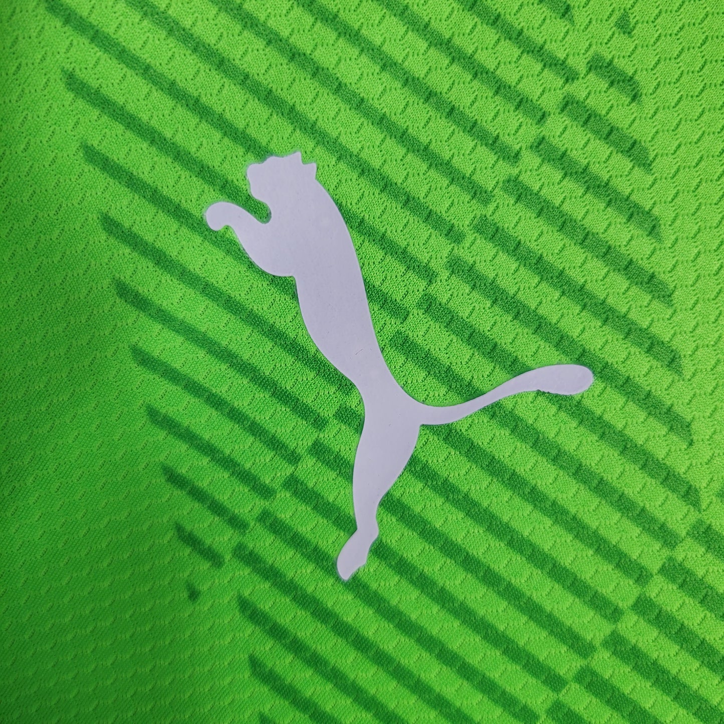 23-24 Palmeiras fluorescent green goalkeeper size S-XXL（Men's Fan Edition） | 衬衫 | Betty ali Chinese suppliers