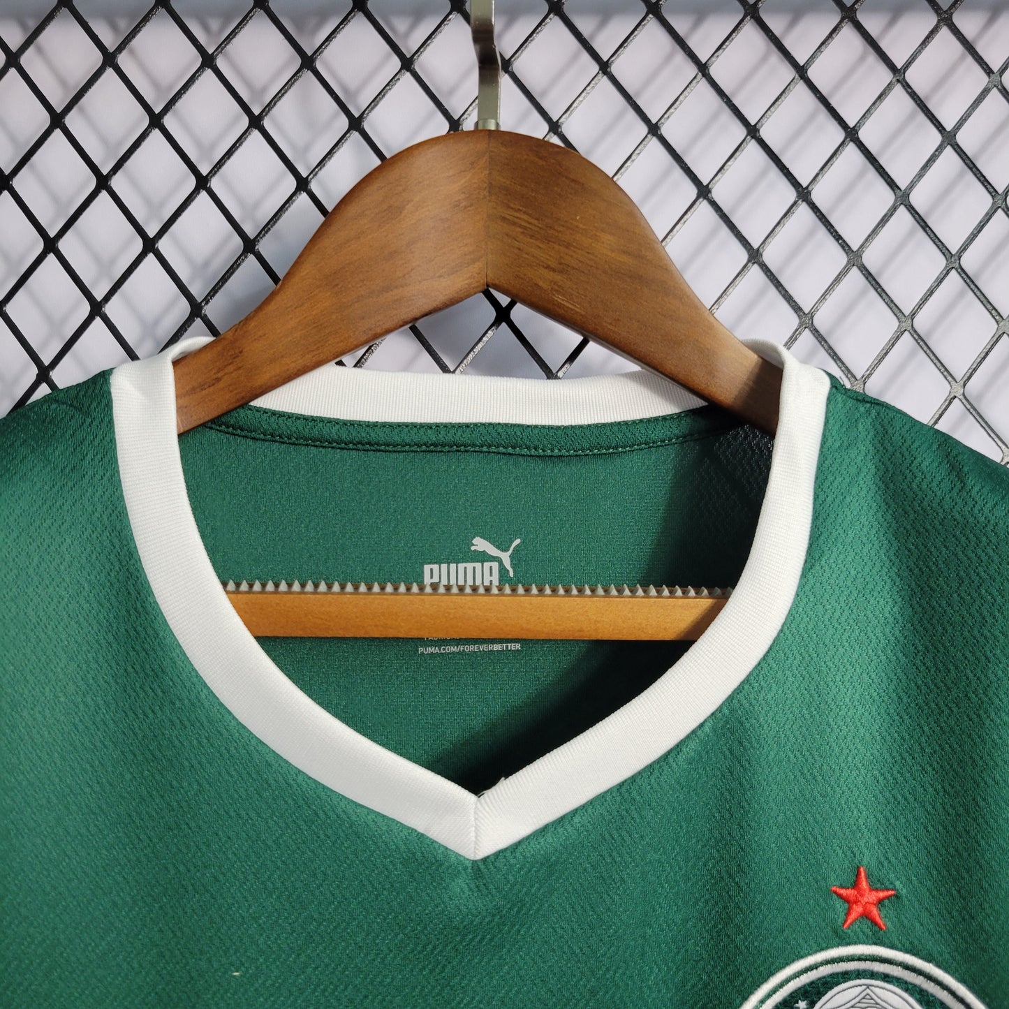 22/23 Women's Palmeiras Home Sizes S-XL（Ladies' Fan Version） | 衬衫 | Betty ali Chinese suppliers