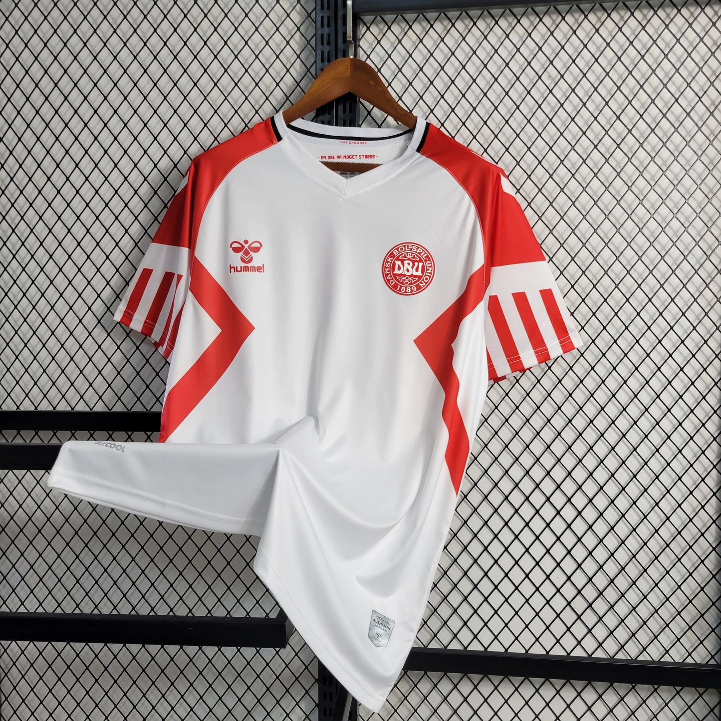 23-24 Denmark away size S-XXL（Men's Fan Edition） | 衬衫 | M3-12 | Betty ali Chinese suppliers