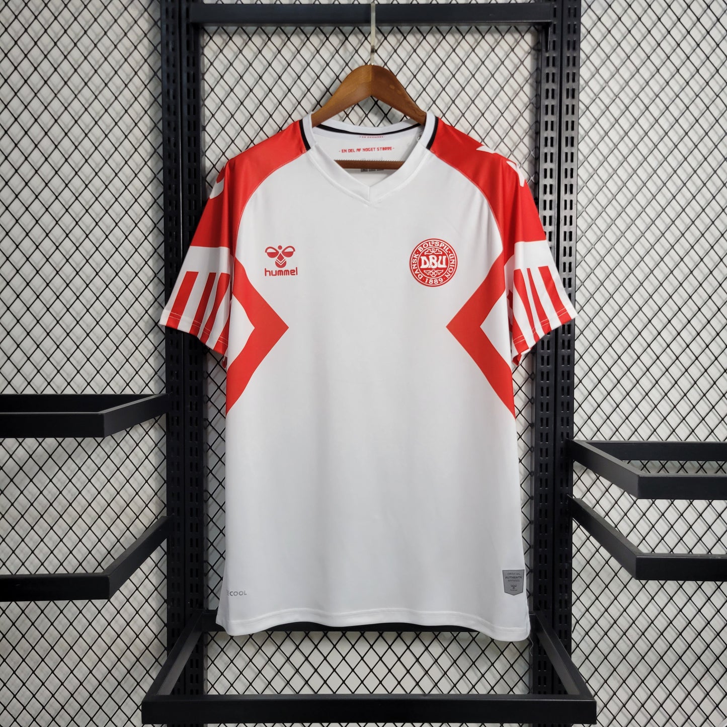 23-24 Denmark away size S-XXL（Men's Fan Edition） | 衬衫 | M3-12 | Betty ali Chinese suppliers